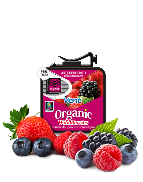 VENTILACION ORGANIC